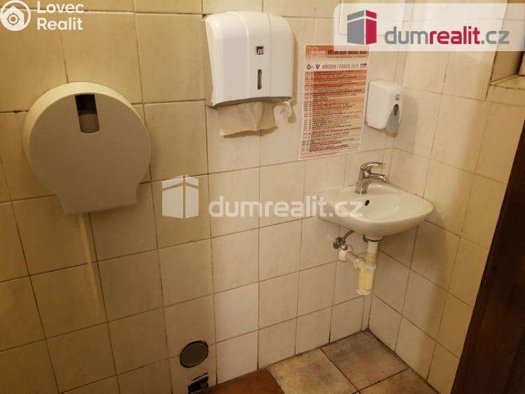 Pronájem komerční nemovitosti České Budějovice, U Tří lvů č. 15