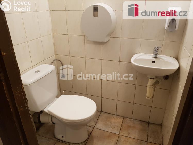 Pronájem komerční nemovitosti České Budějovice, U Tří lvů č. 16