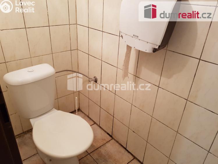 Pronájem komerční nemovitosti České Budějovice, U Tří lvů č. 18