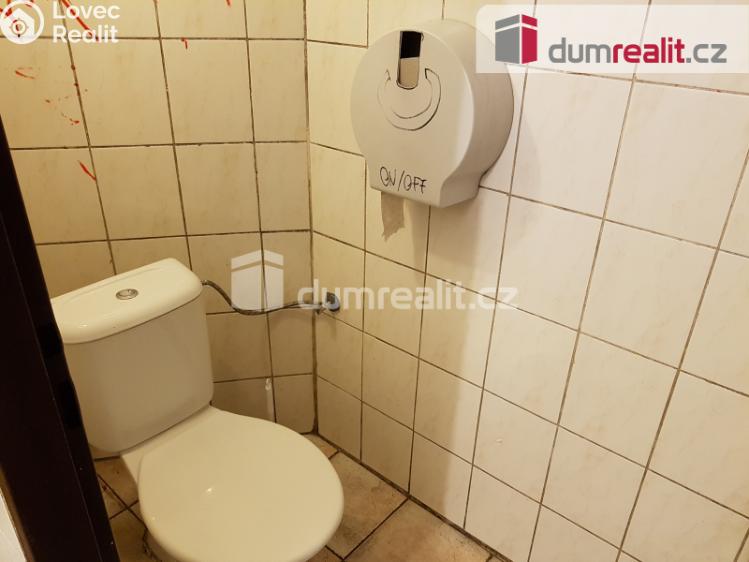 Pronájem komerční nemovitosti České Budějovice, U Tří lvů č. 19