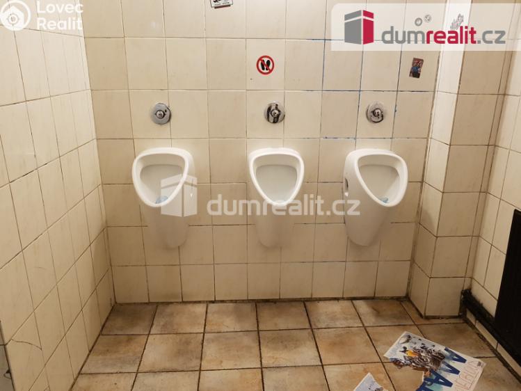 Pronájem komerční nemovitosti České Budějovice, U Tří lvů č. 20