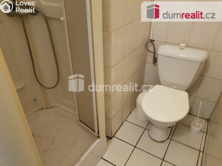 Pronájem komerční nemovitosti České Budějovice, U Tří lvů č. 26