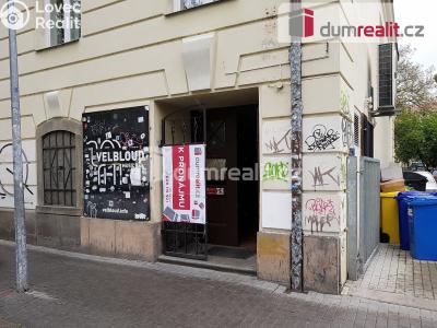 Pronájem komerční nemovitosti České Budějovice, U Tří lvů č. 2