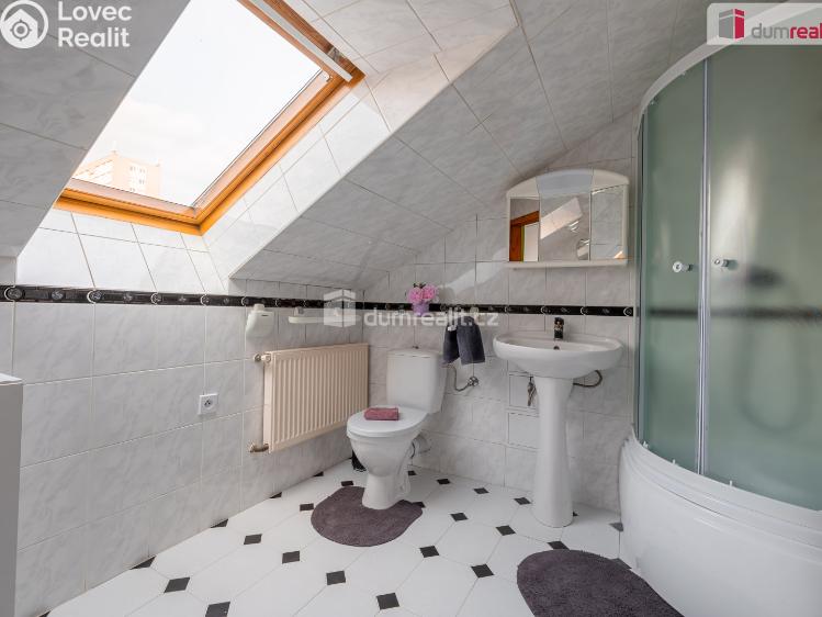 Prodej rodinného domu Mladá Boleslav, Viničná č. 26