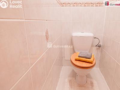 Prodej rodinného domu Mladá Boleslav, Viničná č. 6