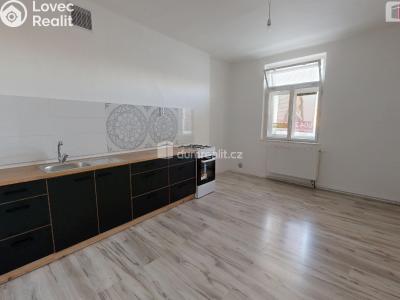 Pronájem bytu 2+1 Opava, Dolní náměstí č. 1