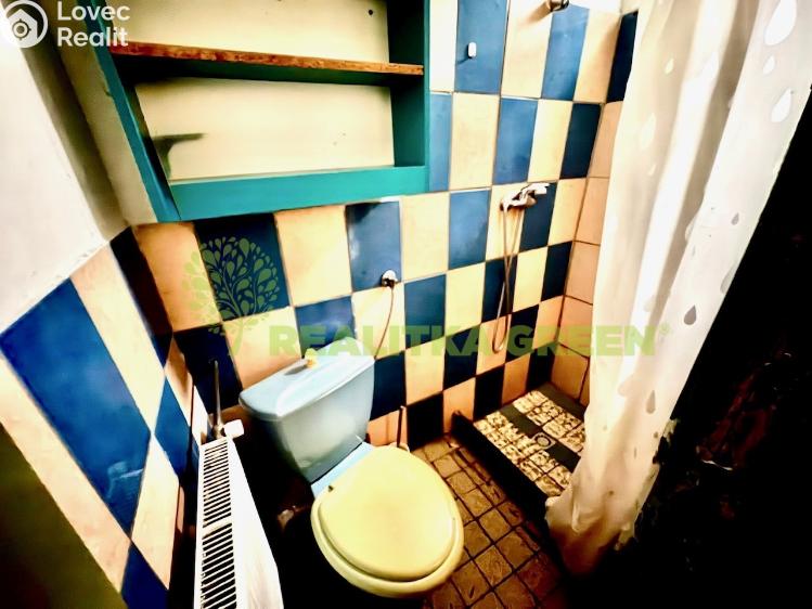 Pronájem bytu 1+1 Hrobice č. 5