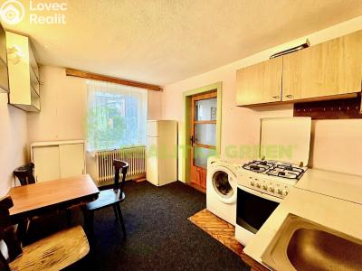 Pronájem bytu 1+1 Hrobice č. 1