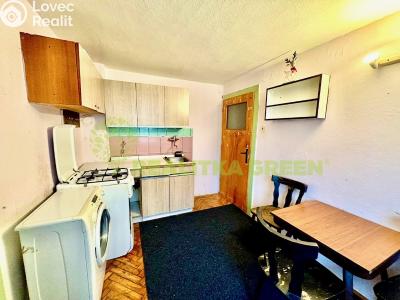 Pronájem bytu 1+1 Hrobice č. 2