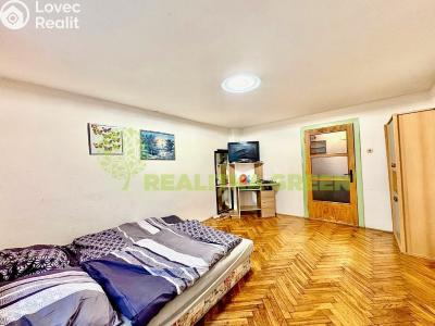 Pronájem bytu 1+1 Hrobice č. 4