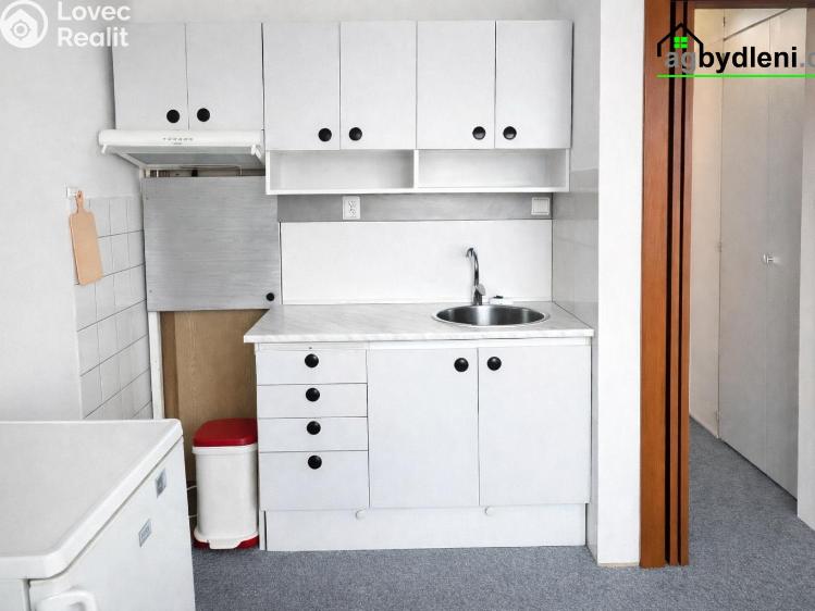 Pronájem bytu 1+1 Dobřany, Sokolovská 954 č. 3