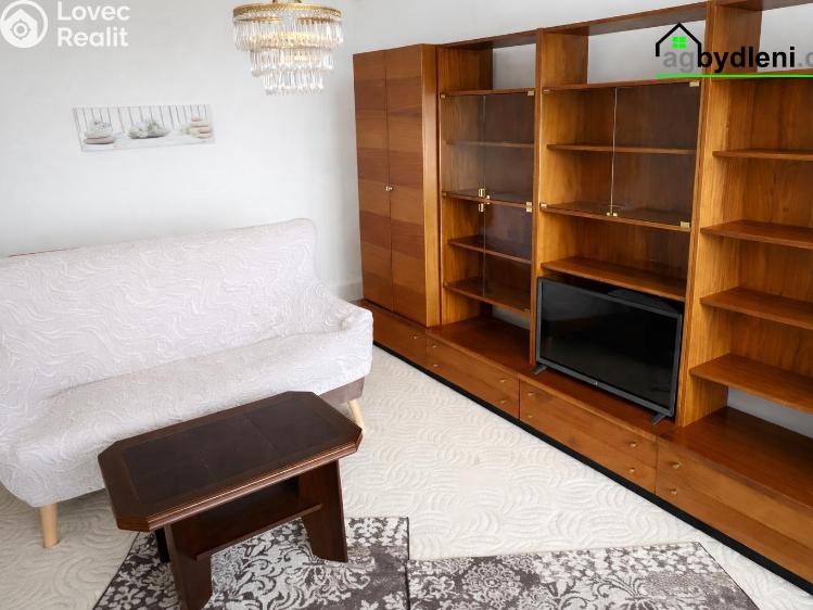 Pronájem bytu 1+1 Dobřany, Sokolovská 954 č. 4