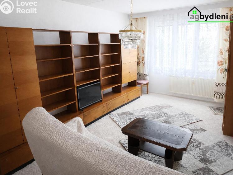 Pronájem bytu 1+1 Dobřany, Sokolovská 954 č. 6