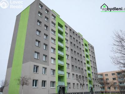 Pronájem bytu 1+1 Dobřany, Sokolovská 954 č. 1