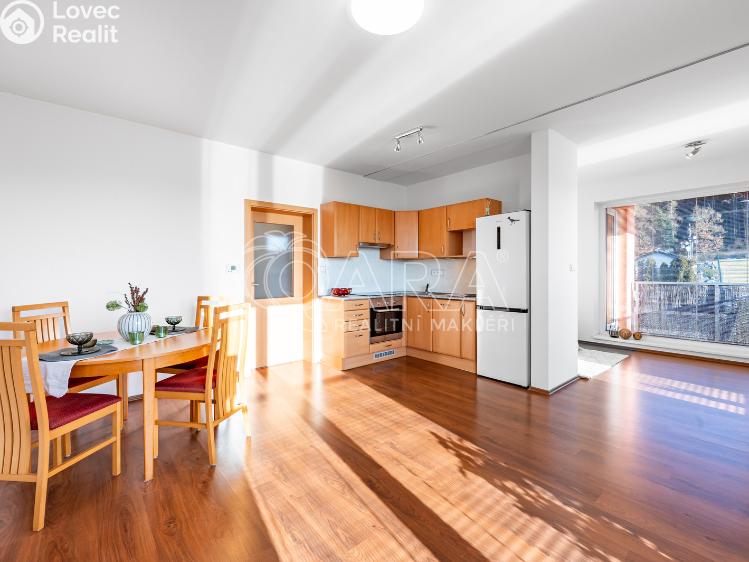 Sale apartment 1+KK Kařez č. 6