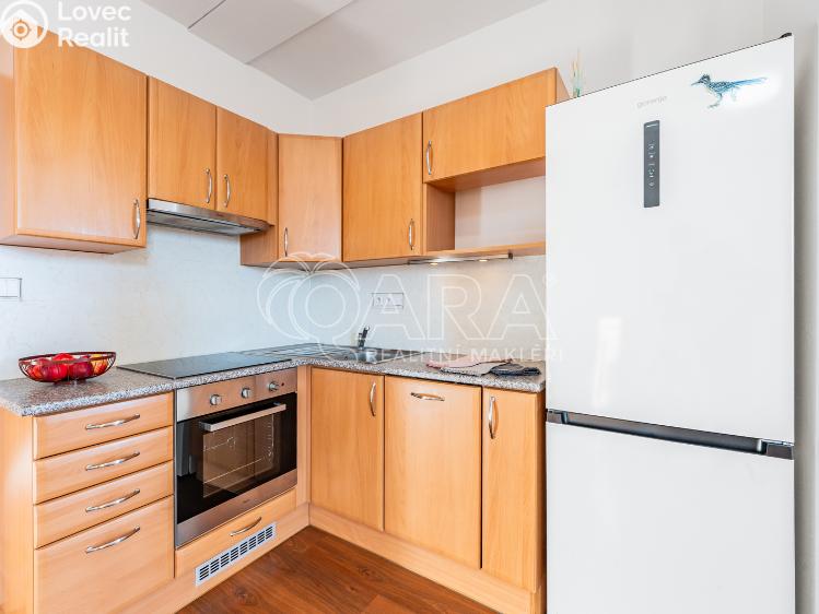 Sale apartment 1+KK Kařez č. 10