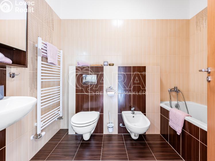 Sale apartment 1+KK Kařez č. 11