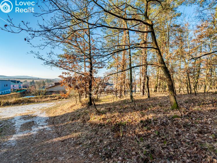 Sale apartment 1+KK Kařez č. 19