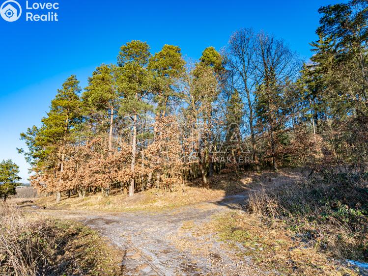 Sale apartment 1+KK Kařez č. 20