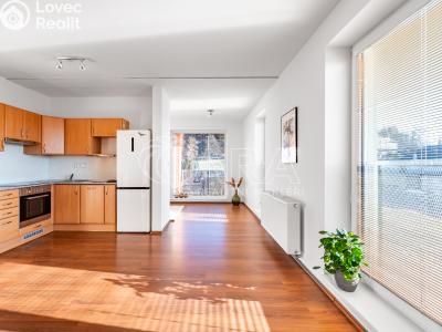 Продаж квартири 1+KK Kařez č. 1