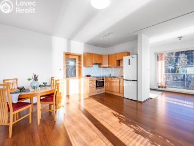 Продаж квартири 1+KK Kařez č. 6