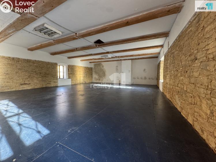 Pronájem výrobní haly Dobrovíz, Pražská č. 21