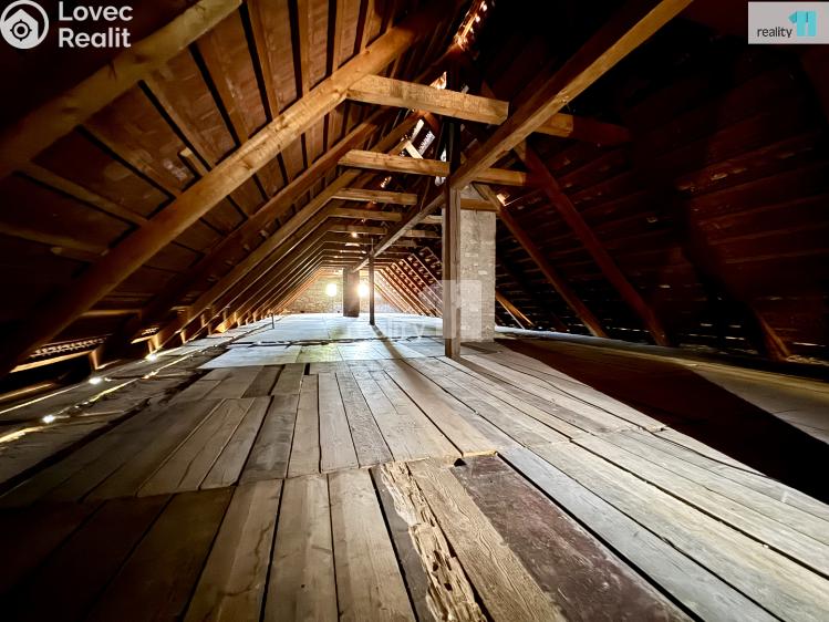 Pronájem výrobní haly Dobrovíz, Pražská č. 24