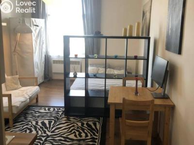 Pronájem bytu 1+KK Praha, Hartigova č. 4