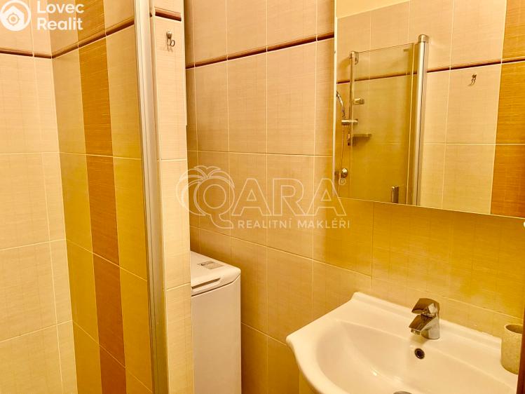 Pronájem bytu 1+1 Praha, Ruská 970/90 č. 14