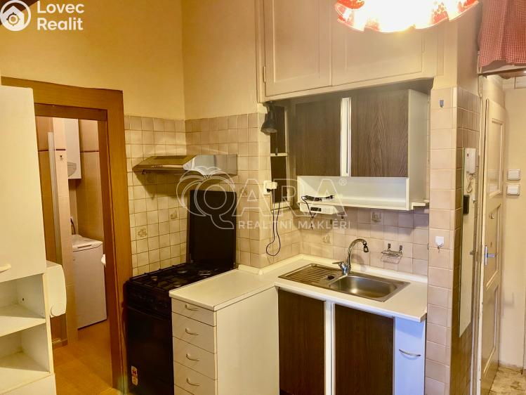 Pronájem bytu 1+1 Praha, Ruská 970/90 č. 15