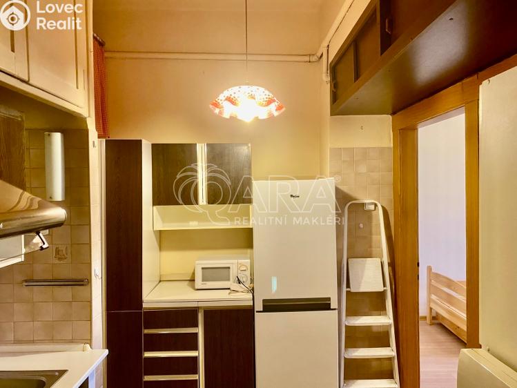 Pronájem bytu 1+1 Praha, Ruská 970/90 č. 17