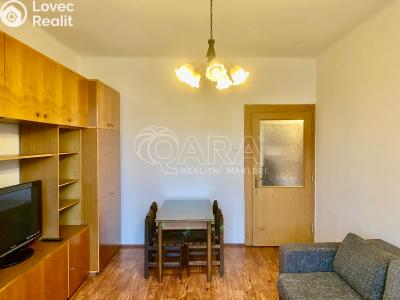 Pronájem bytu 1+1 Praha, Ruská č. 5