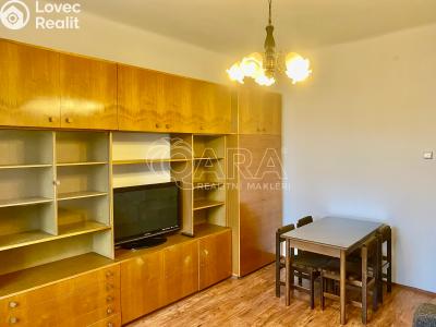 Pronájem bytu 1+1 Praha, Ruská č. 6