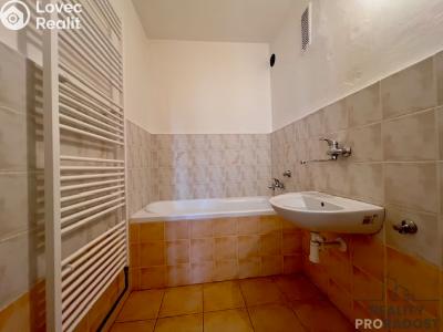 Prodej bytu 3+1 Hodonín, Erbenova č. 4