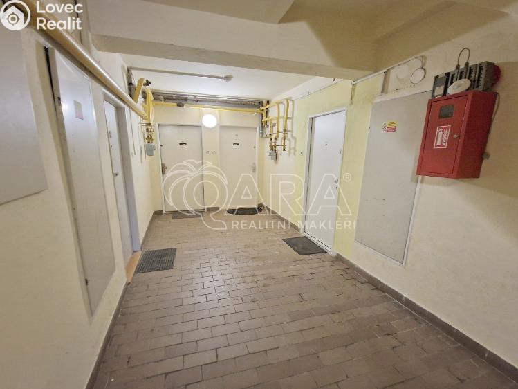 Pronájem bytu 1+KK Praha, Lukešova 1507/51 č. 12