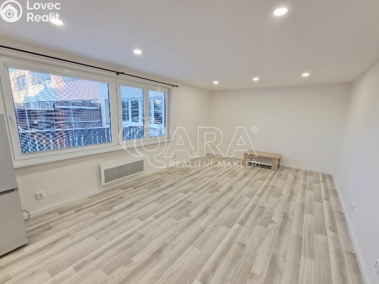Rent apartment 1+KK Praha, Lukešova 1507/51 č. 3