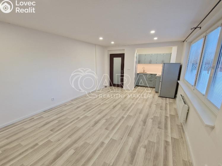 Rent apartment 1+KK Praha, Lukešova 1507/51 č. 4