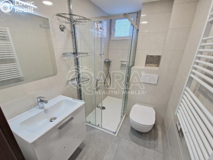 Rent apartment 1+KK Praha, Lukešova 1507/51 č. 6