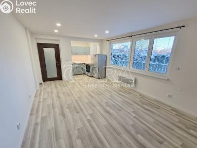 Pronájem bytu 1+KK Praha, Lukešova č. 2