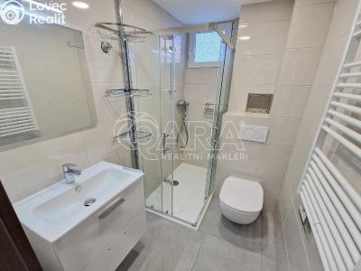 Pronájem bytu 1+KK Praha, Lukešova č. 6
