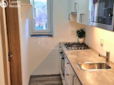 Аренда квартиры 3+KK Žebrák, Sídliště 305 č. 3