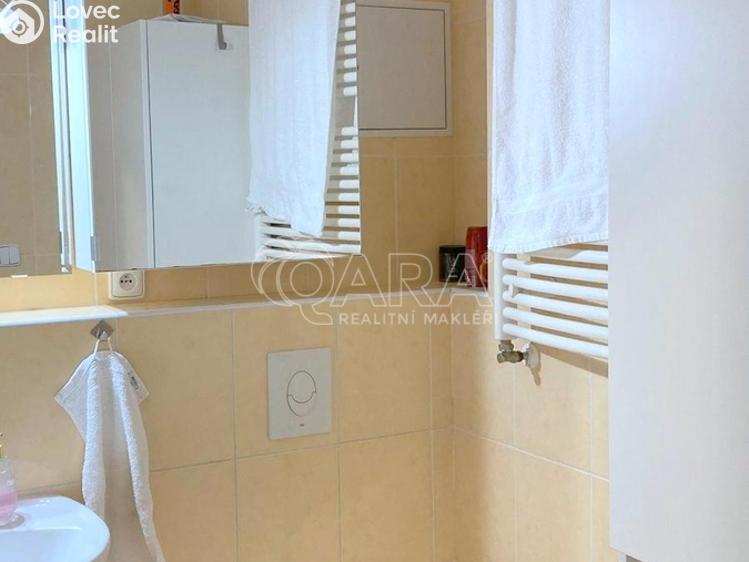 Pronájem bytu 2+KK Praha, V dolině č. 4