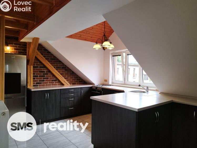 Pronájem bytu 1+KK Opava, Vítečkova 11/14 č. 3