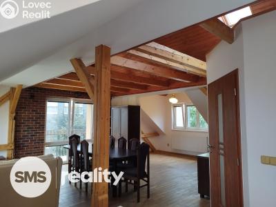 Pronájem bytu 1+KK Opava, Vítečkova č. 4