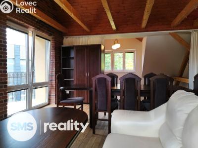 Pronájem bytu 1+KK Opava, Vítečkova č. 6