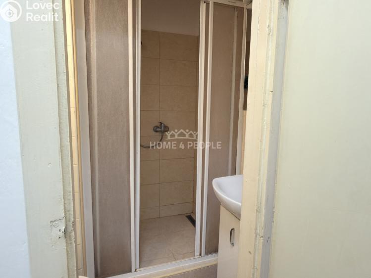 Pronájem bytu 1+1 Brno, Palackého třída č. 6