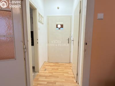 Pronájem bytu 1+1 Brno, Palackého třída č. 4