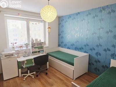 Продажа квартиры 3+KK Kralupy nad Vltavou, Havlíčkova 811 č. 5