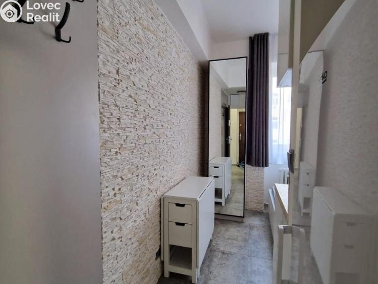 Pronájem bytu 1+KK Praha, Sokolská 1804/28 č. 5