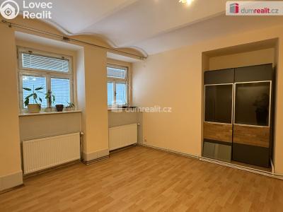 Pronájem bytu 1+1 Karlovy Vary, Kolmá č. 1